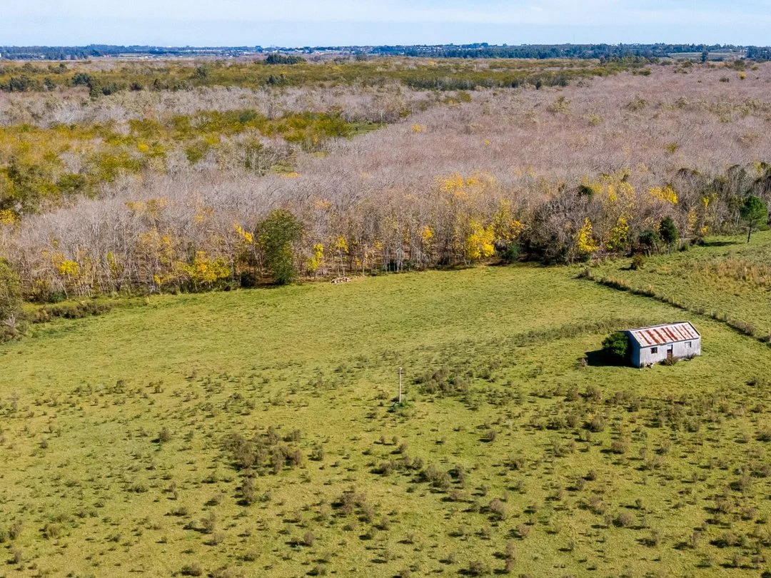 Campo en Rincon de Pando, propiedad 289322 -Imagen 3