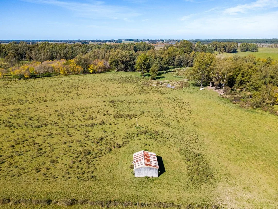Campo en Rincon de Pando, propiedad 289322 -Imagen 6