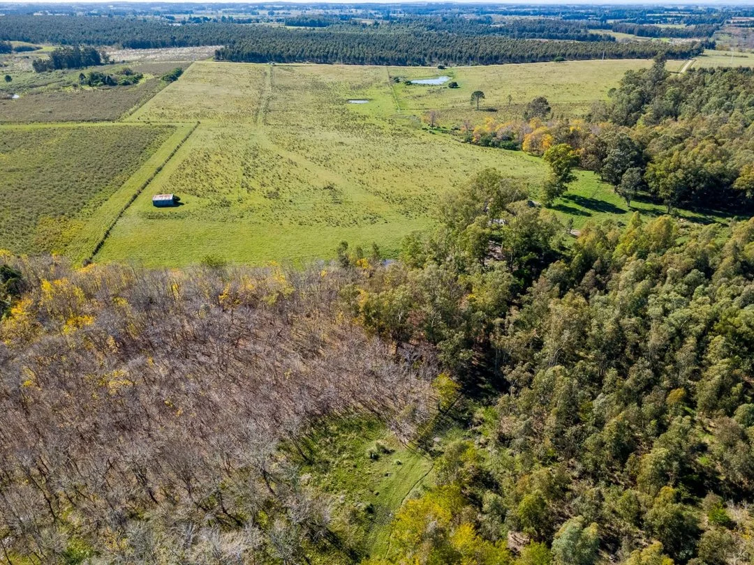 Campo en Rincon de Pando, propiedad 289322 -Imagen 12