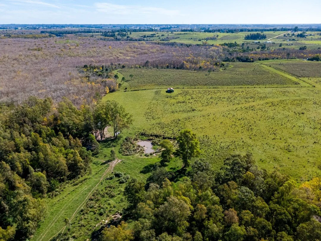 Campo en Rincon de Pando, propiedad 289322 -Imagen 14