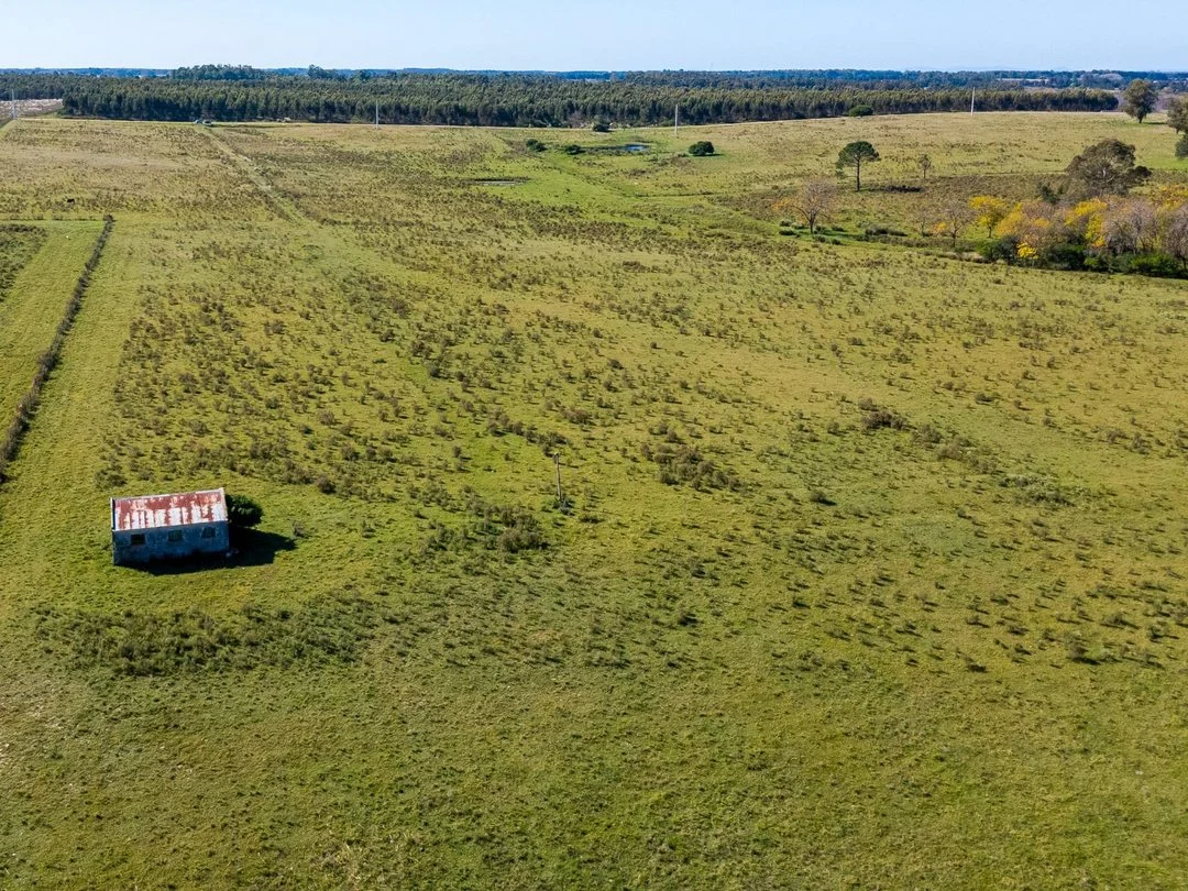 Campo en Rincon de Pando, propiedad 289322 -Imagen 10