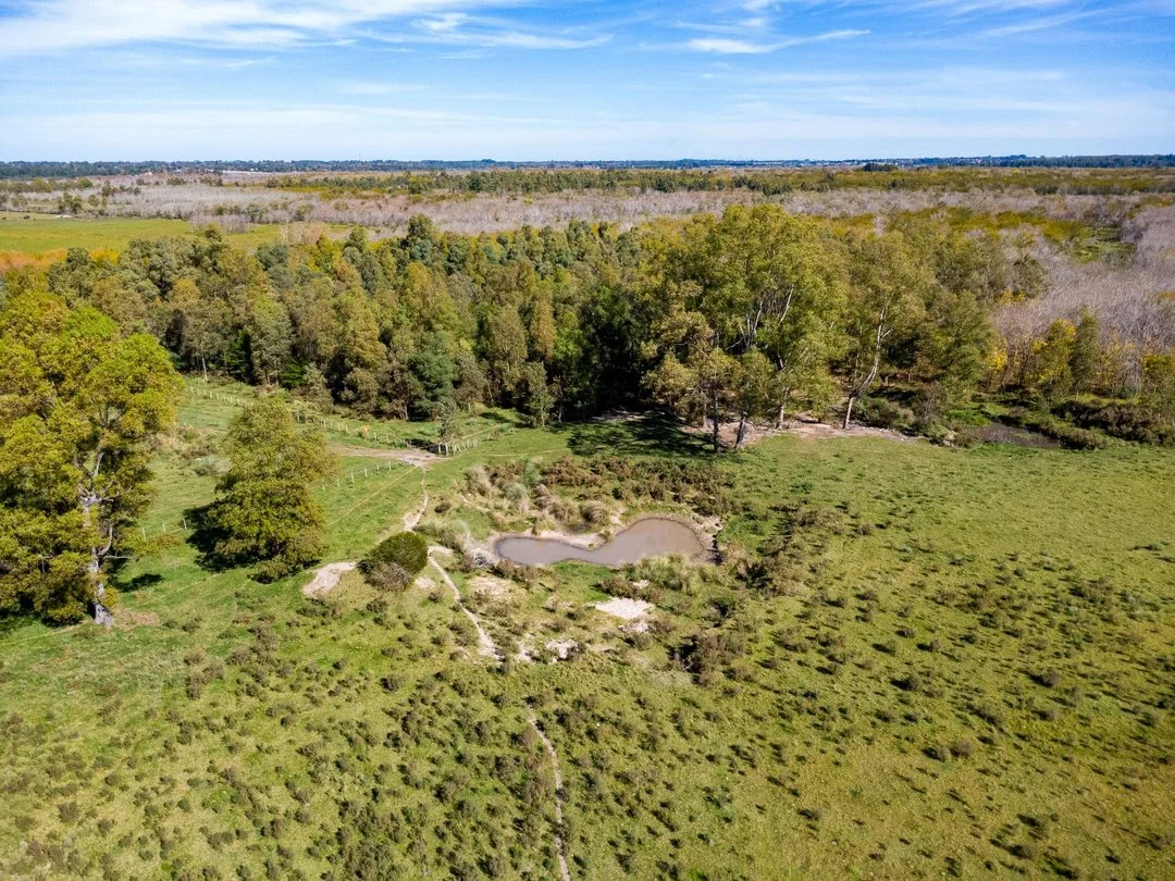 Campo en Rincon de Pando, propiedad 289322 -Imagen 13