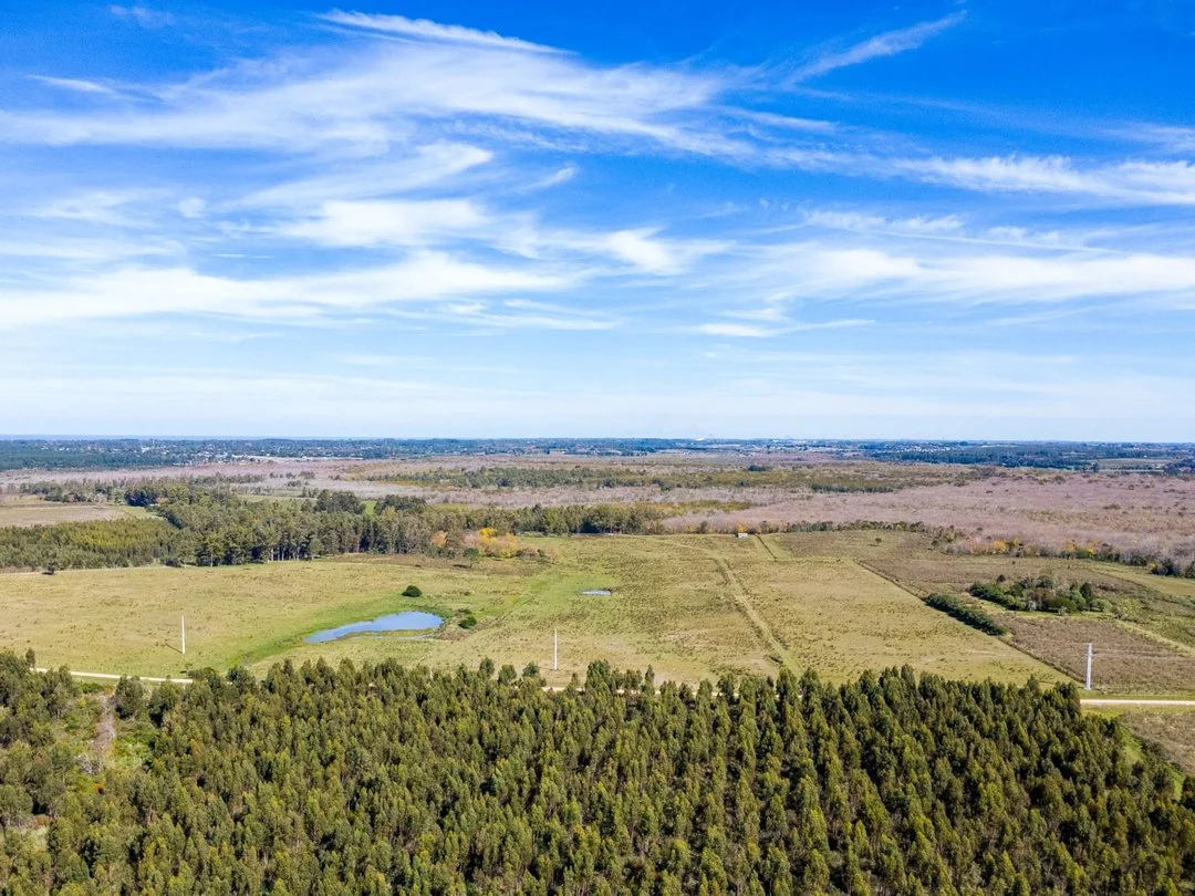 Campo en Rincon de Pando, propiedad 289322 -Imagen 8