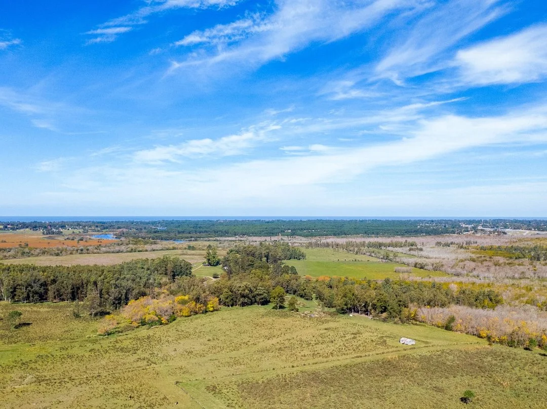 Campo en Rincon de Pando, propiedad 289322 -Imagen 2