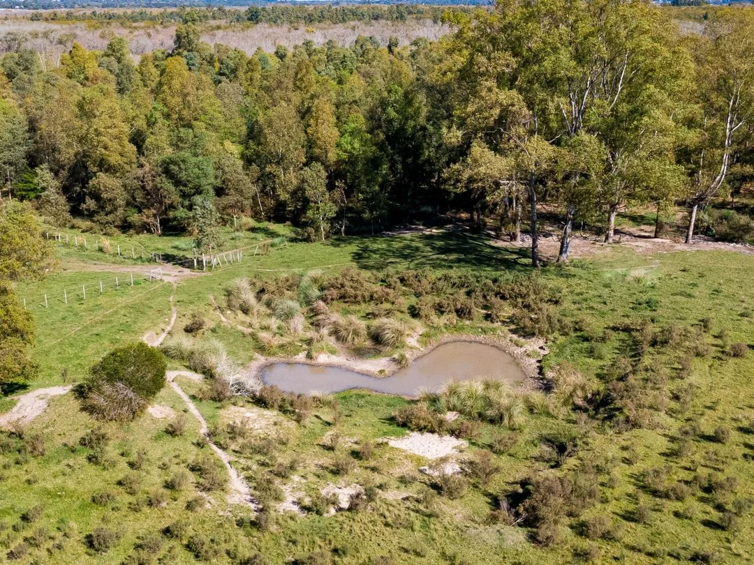 Campo en Rincon de Pando, propiedad 289322 -Imagen 15