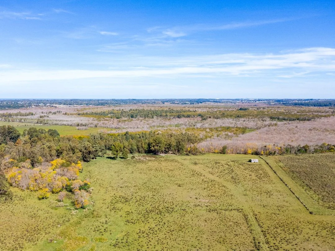 Campo en Rincon de Pando, propiedad 289322 -Imagen 4