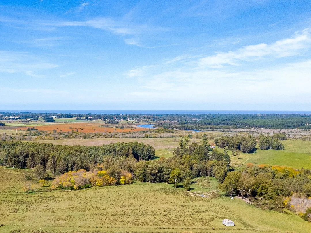Campo en Rincon de Pando, propiedad 289322 -Imagen 9