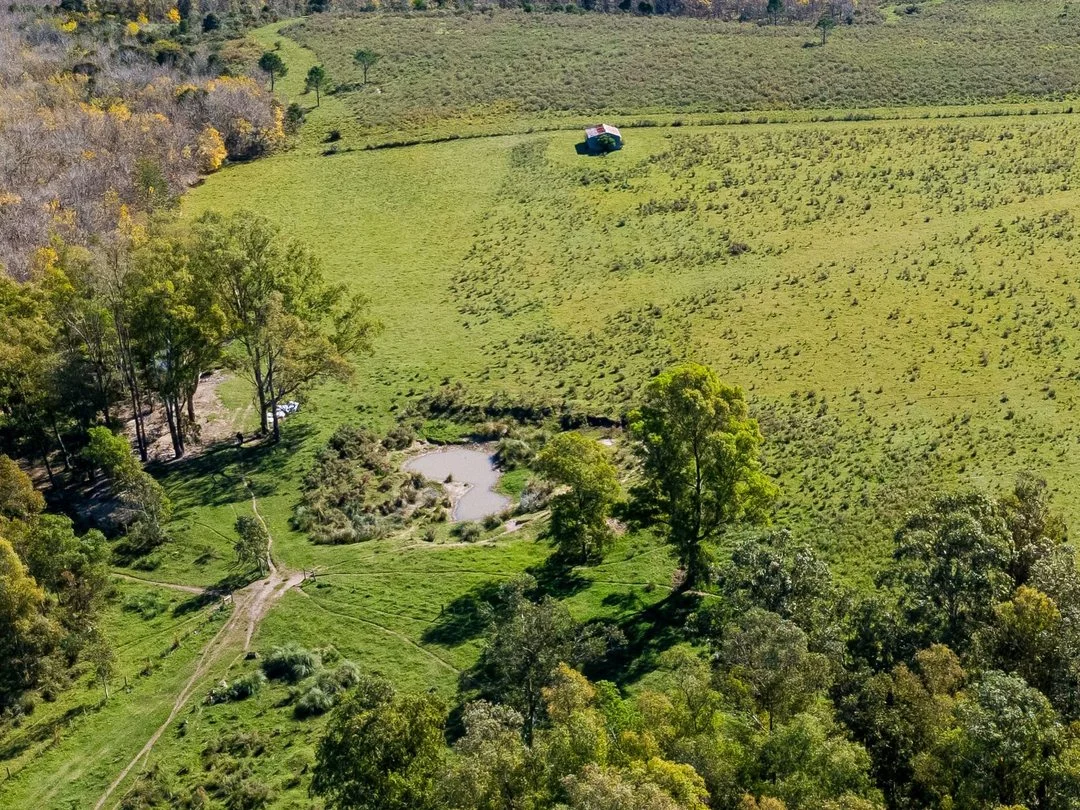 Campo en Rincon de Pando, propiedad 289322 -Imagen 16