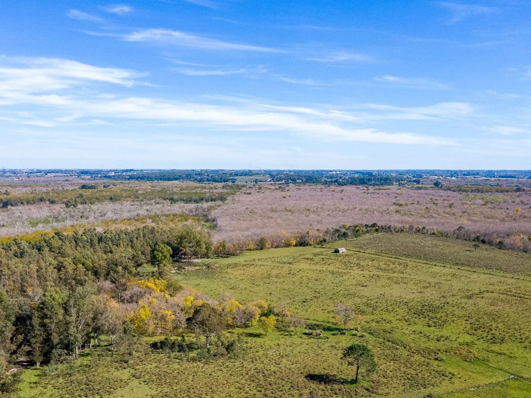 Campo en Rincon de Pando, propiedad 289322 -Imagen 1