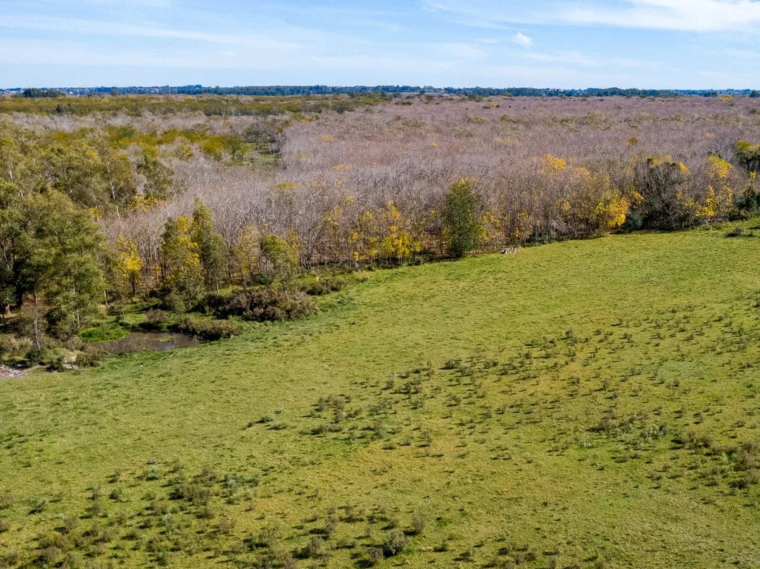Campo en Rincon de Pando, propiedad 289322 -Imagen 11