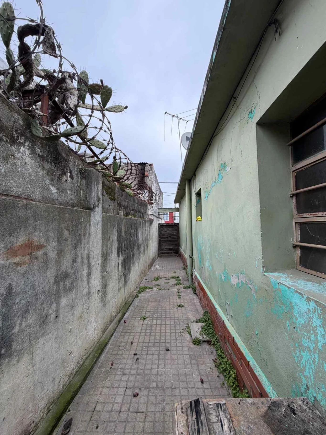 Casa en Unión, propiedad 289346 -Imagen 17