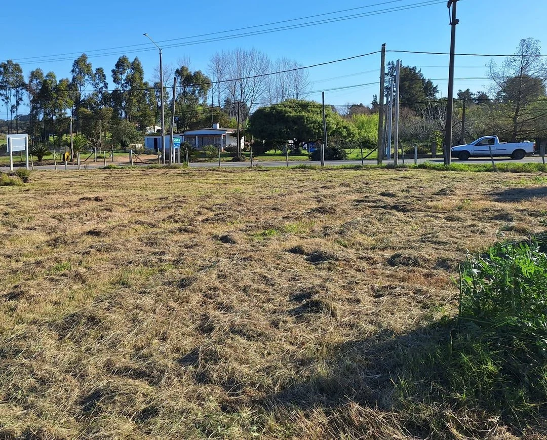 Terreno en Empalme Olmos, propiedad 294398 -Imagen 4
