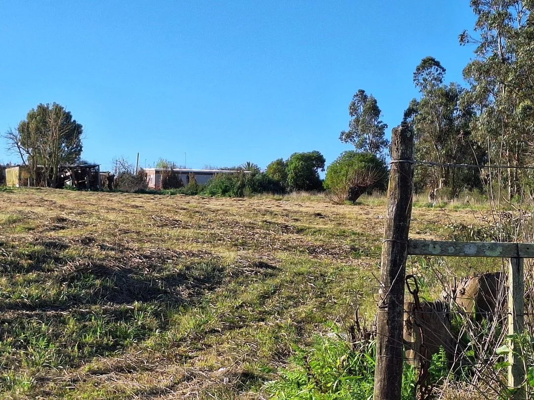 Terreno en Empalme Olmos, propiedad 294398 -Imagen 3