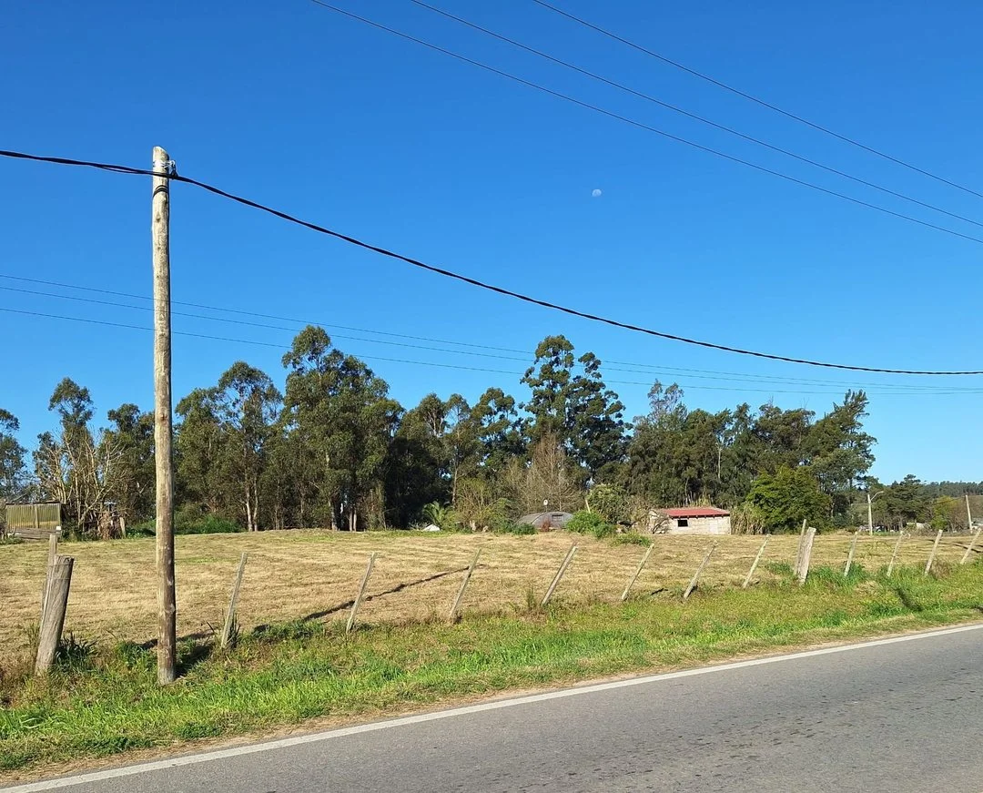 Terreno en Empalme Olmos, propiedad 294398 -Imagen 2