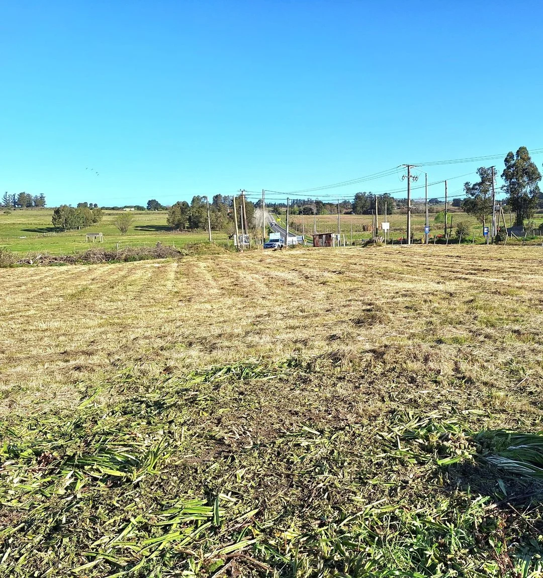 Terreno en Empalme Olmos, propiedad 294398 -Imagen 5