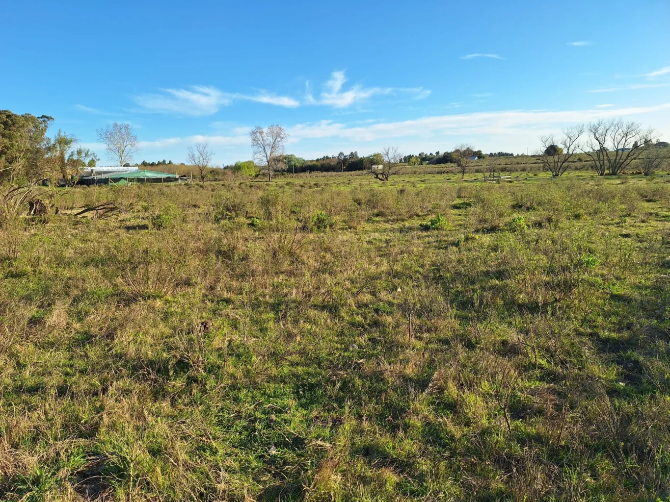 Campo en Rincon de Pando, propiedad 294399 -Imagen 7