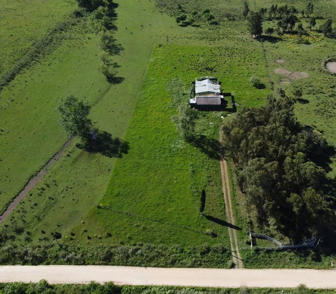 Campo en Rincon de Pando, propiedad 294399 -Imagen 5