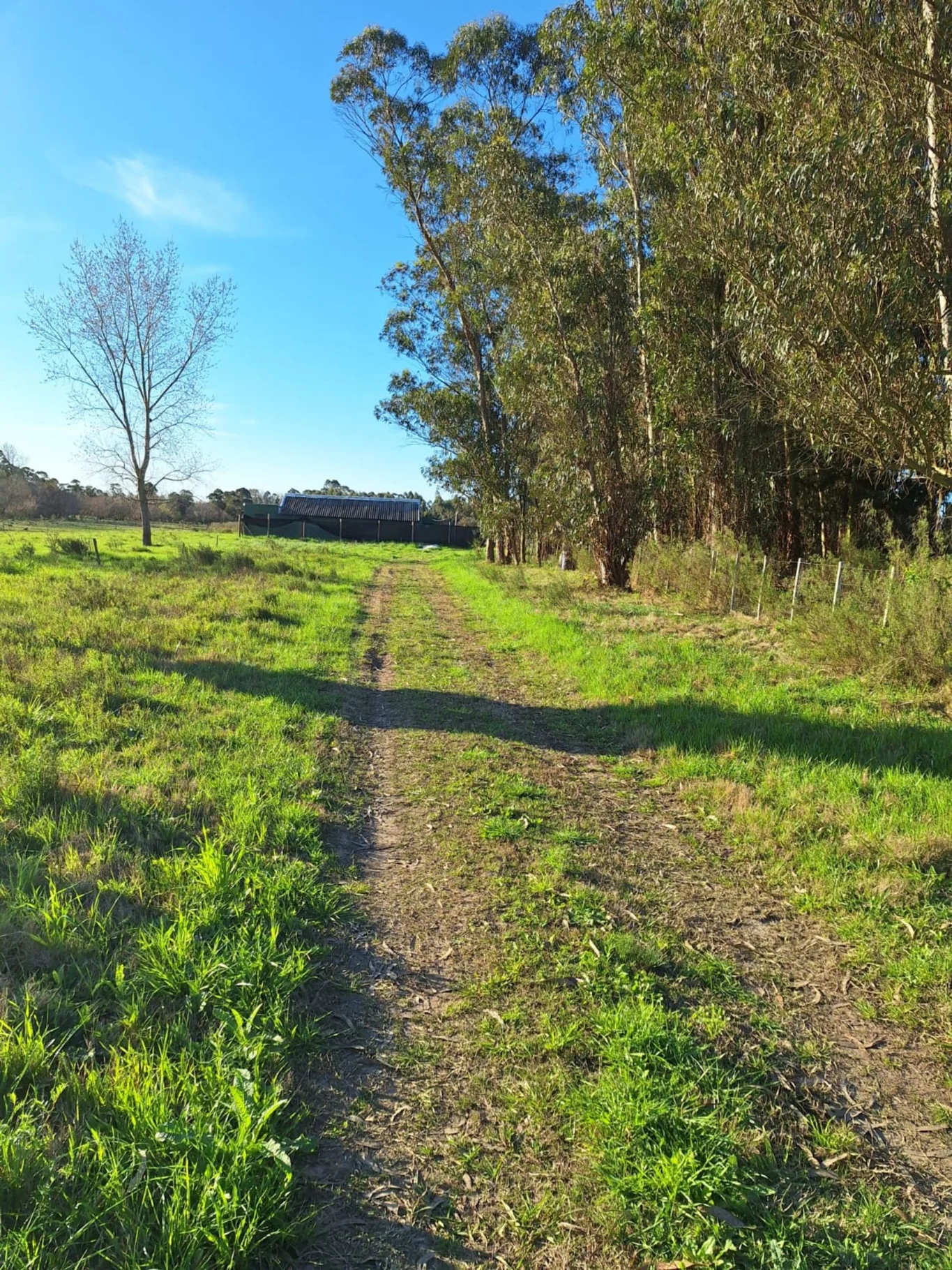 Campo en Rincon de Pando, propiedad 294399 -Imagen 3
