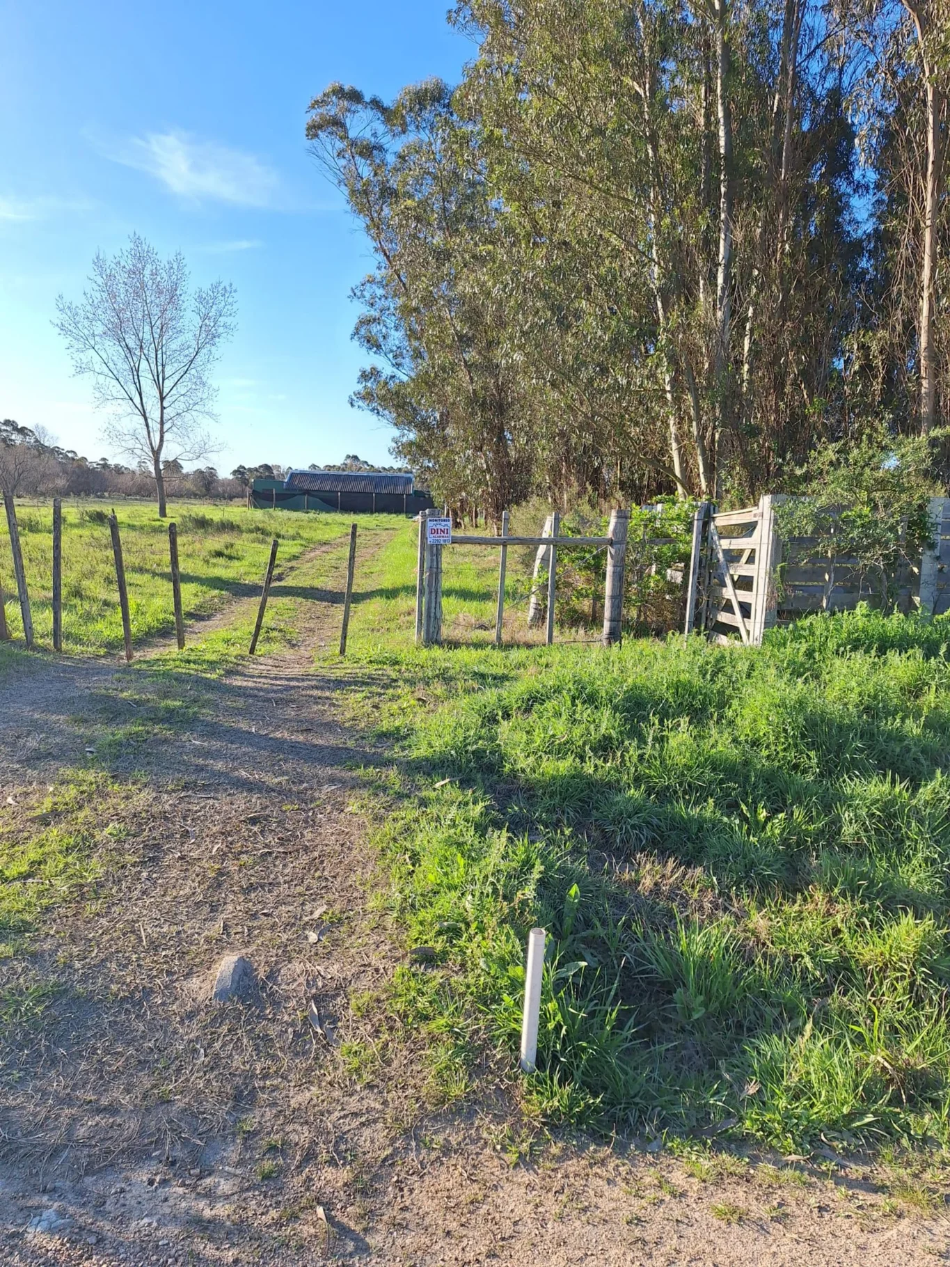 Campo en Rincon de Pando, propiedad 294399 -Imagen 4