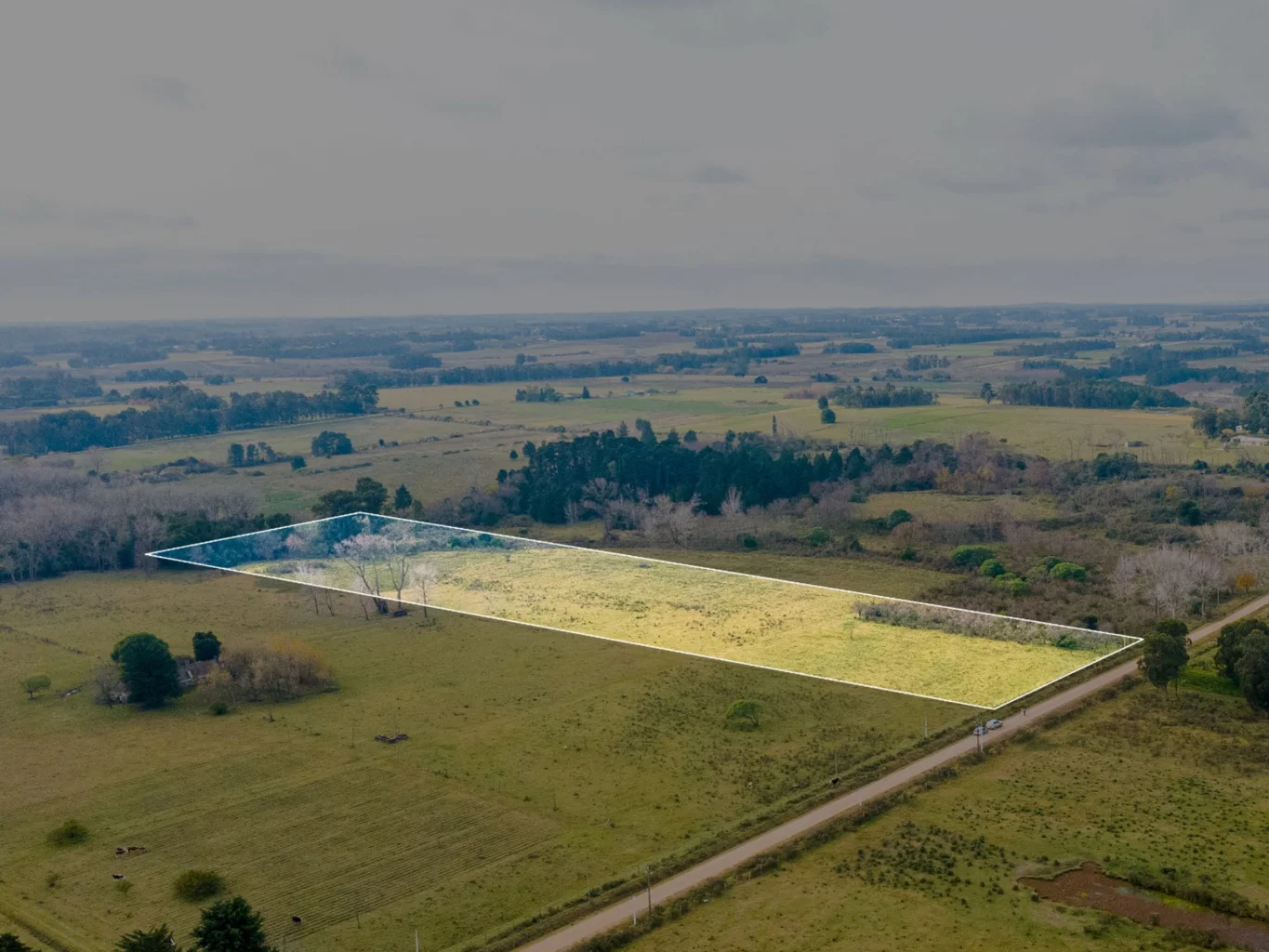 Campo en Rincon de Pando, propiedad 294422 -Imagen 3
