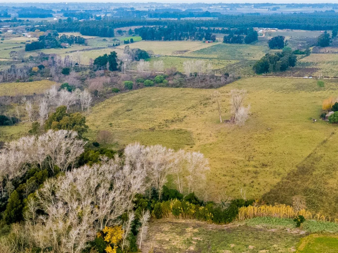 Campo en Rincon de Pando, propiedad 294422 -Imagen 8