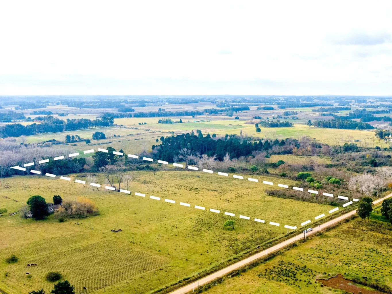 Campo en Rincon de Pando, propiedad 294422 -Imagen 7