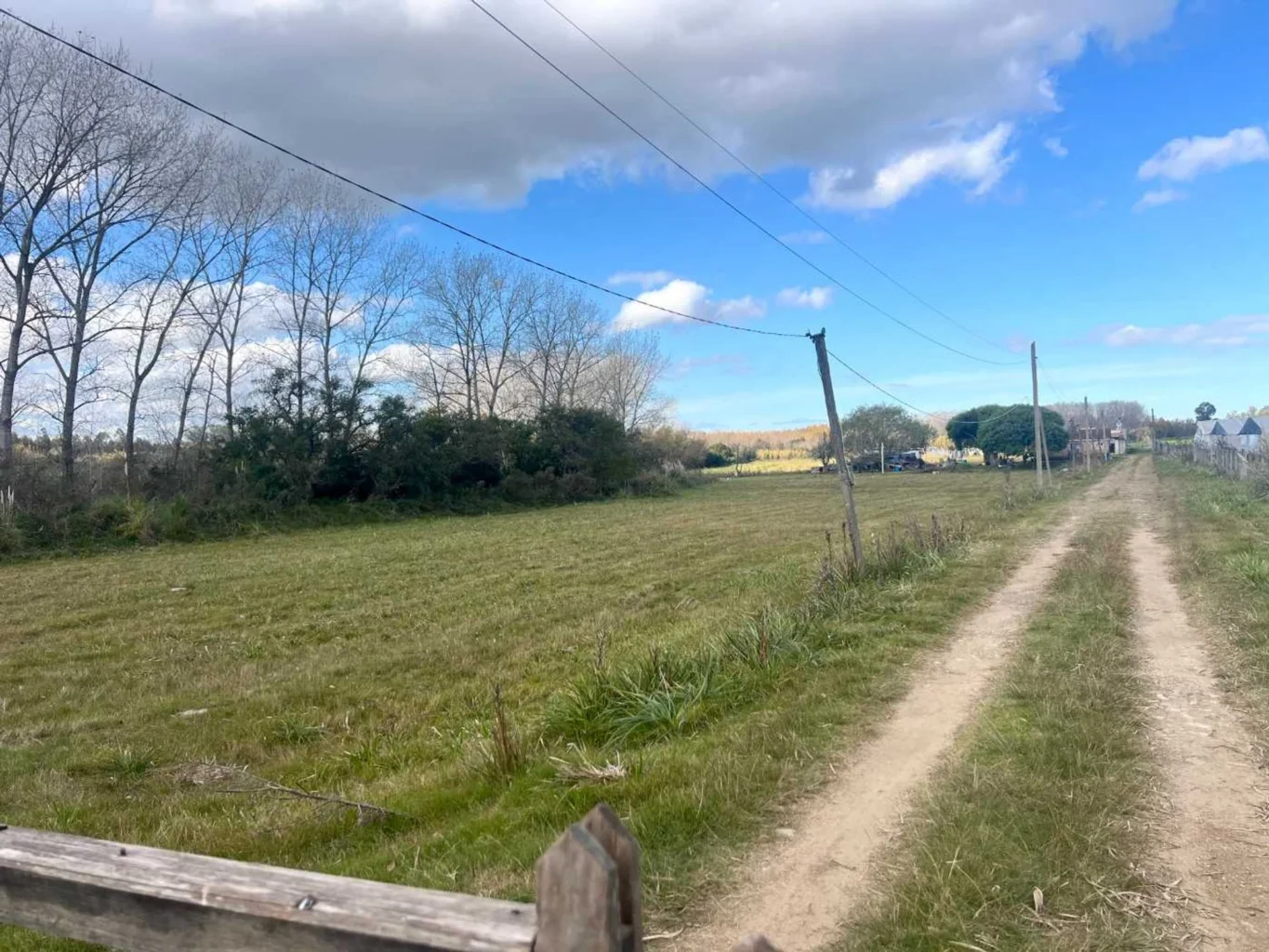 Campo en Pando, propiedad 294538 -Imagen 3