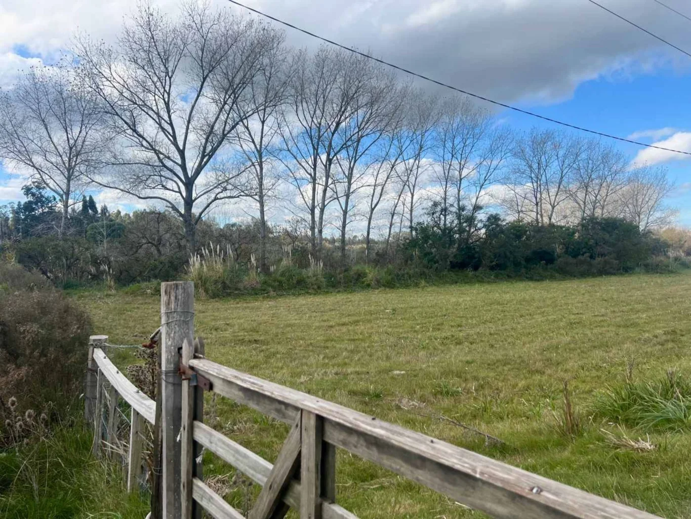 Campo en Pando, propiedad 294538 -Imagen 2