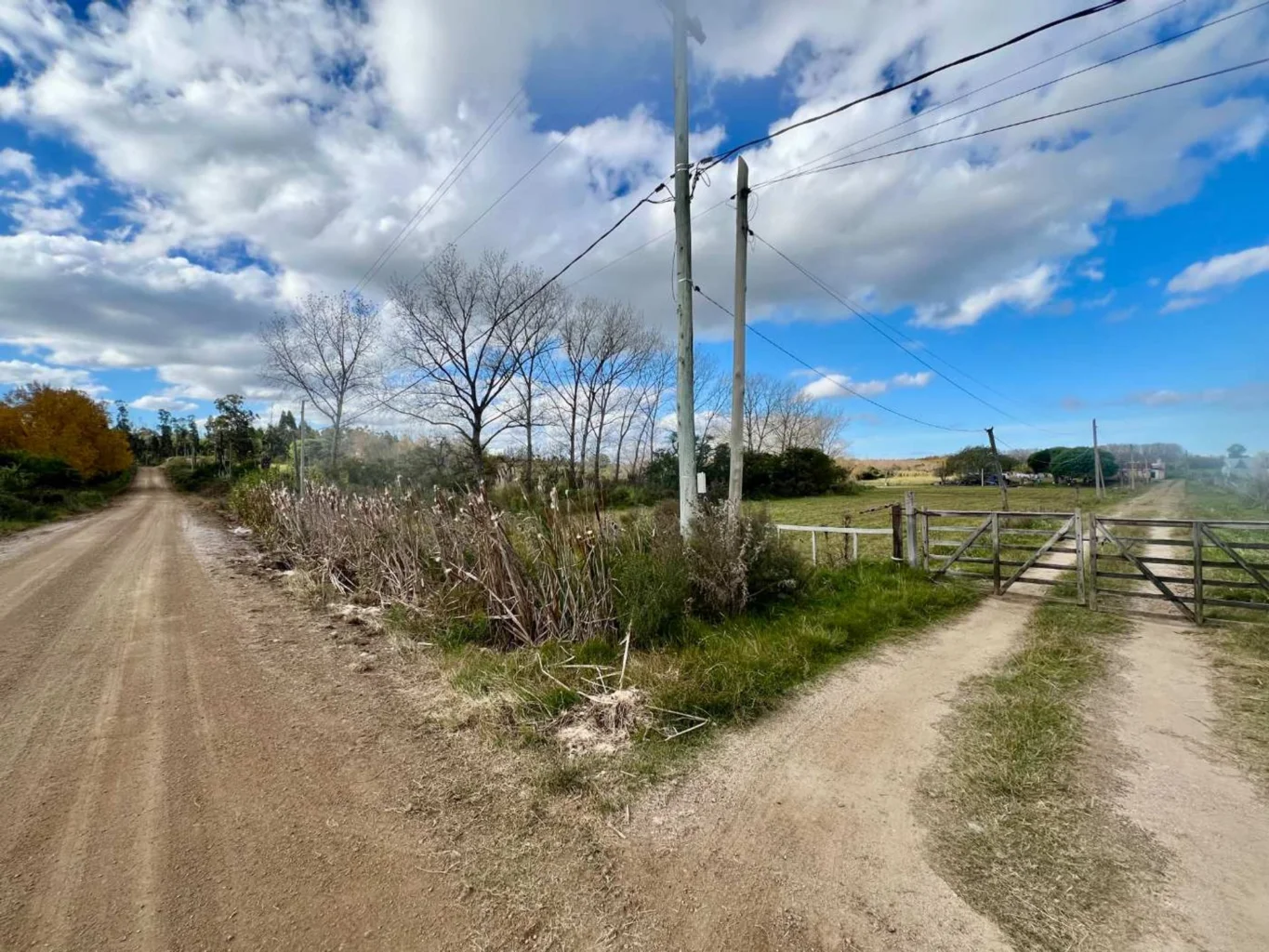 Campo en Pando, propiedad 294538 -Imagen 16
