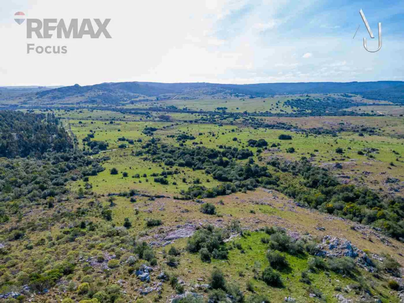Campo en Minas, propiedad 294560 -Imagen 9