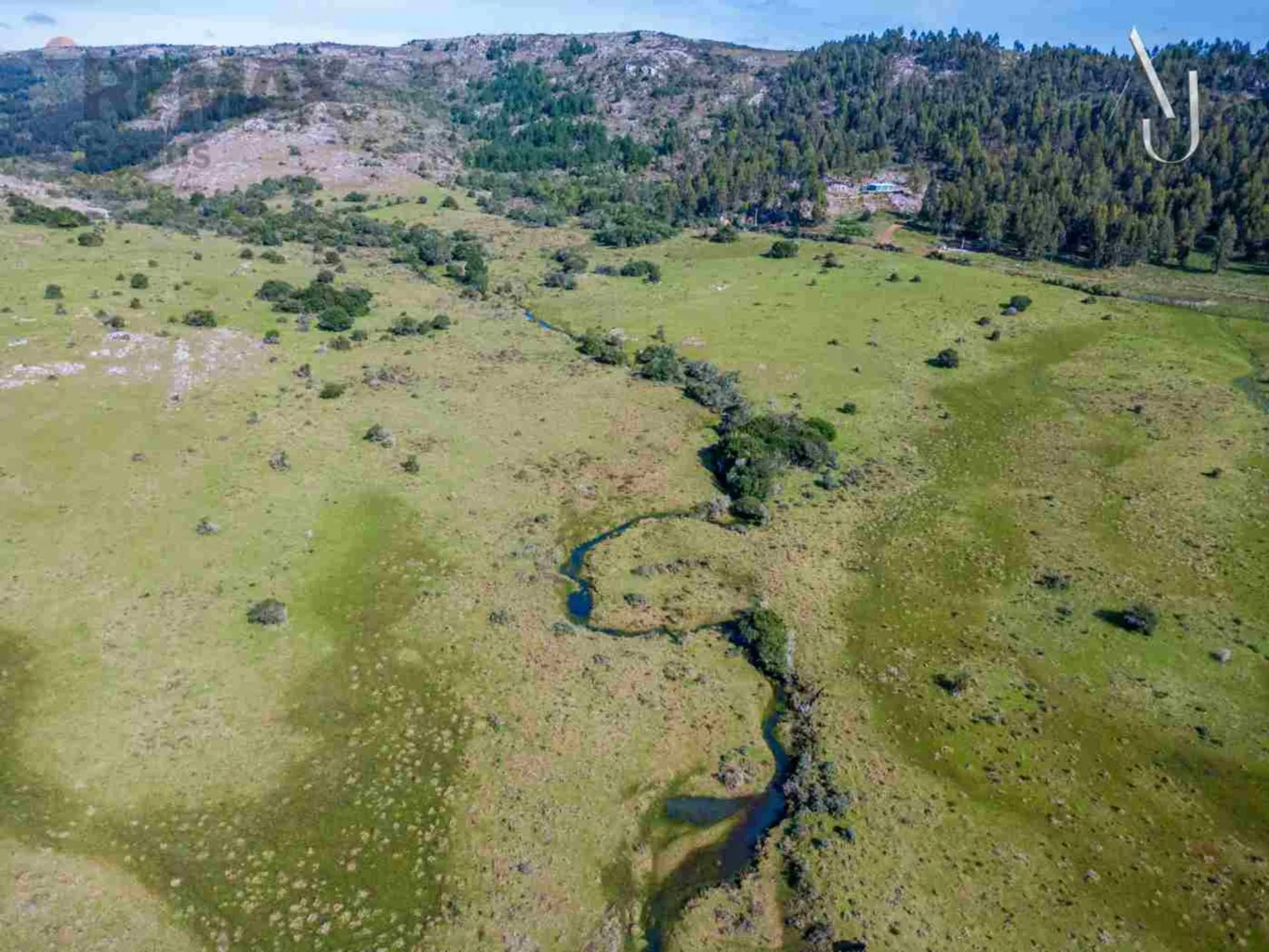 Campo en Minas, propiedad 294560 -Imagen 8