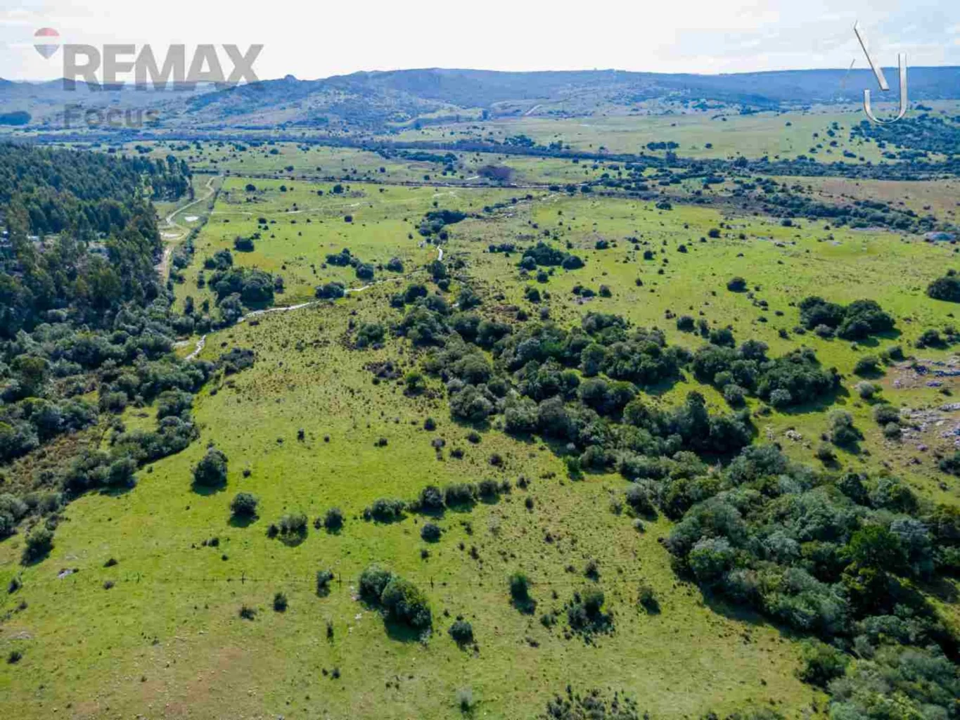 Campo en Minas, propiedad 294560 -Imagen 13