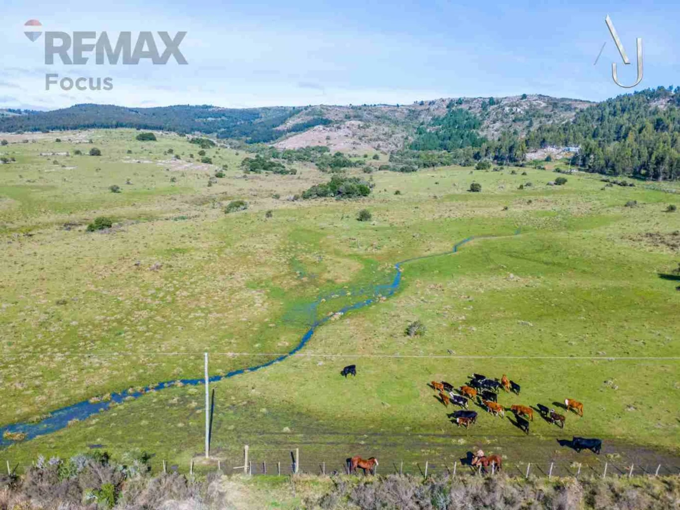 Campo en Minas, propiedad 294560 -Imagen 10