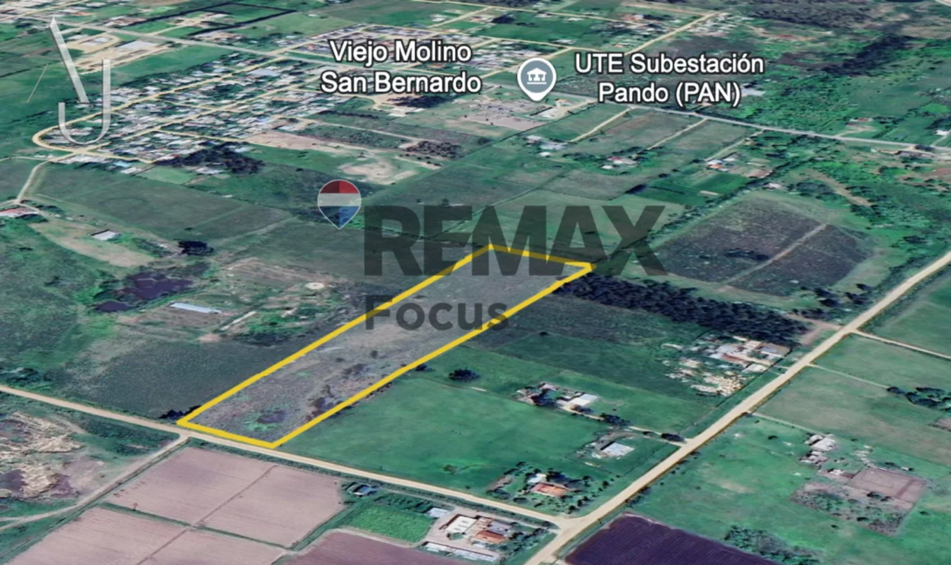 Campo en Pando, propiedad 294619 -Imagen 2