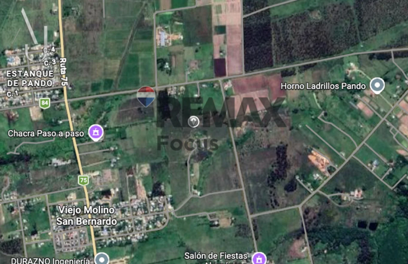 Campo en Pando, propiedad 294619 -Imagen 1