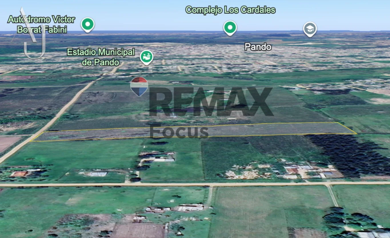 Campo en Pando, propiedad 294619 -Imagen 5