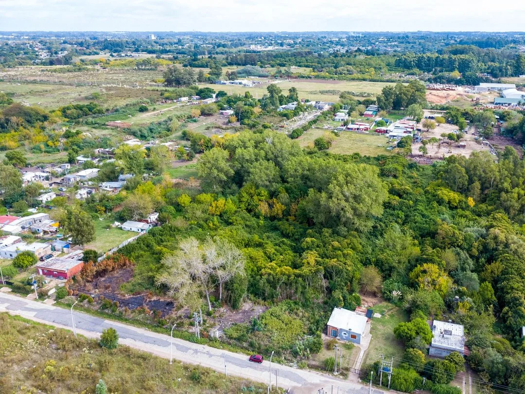 Campo en Piedras Blancas, propiedad 294737 -Imagen 7