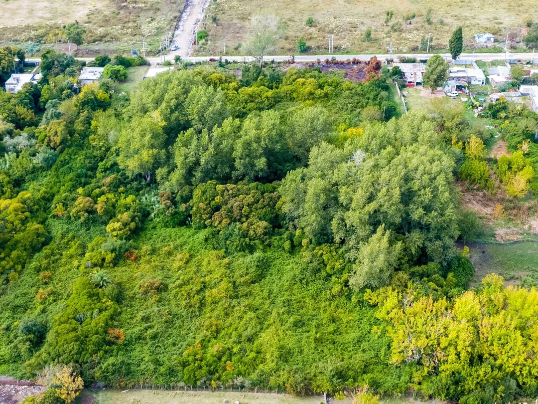 Campo en Piedras Blancas, propiedad 294737 -Imagen 9