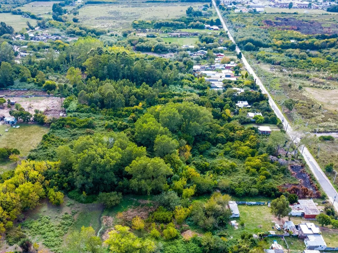 Campo en Piedras Blancas, propiedad 294737 -Imagen 11