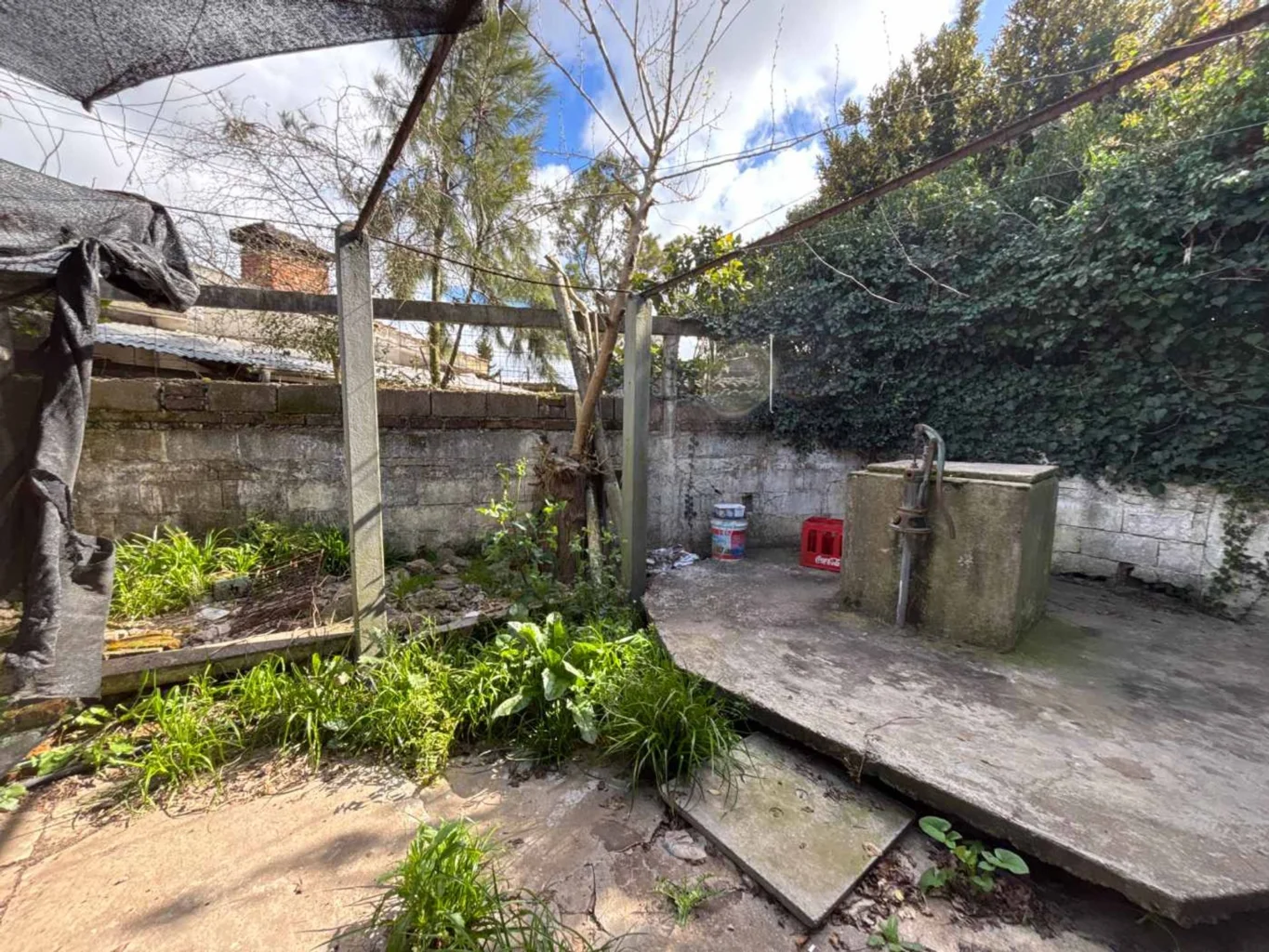 Casa en Pando, propiedad 295118 -Imagen 12