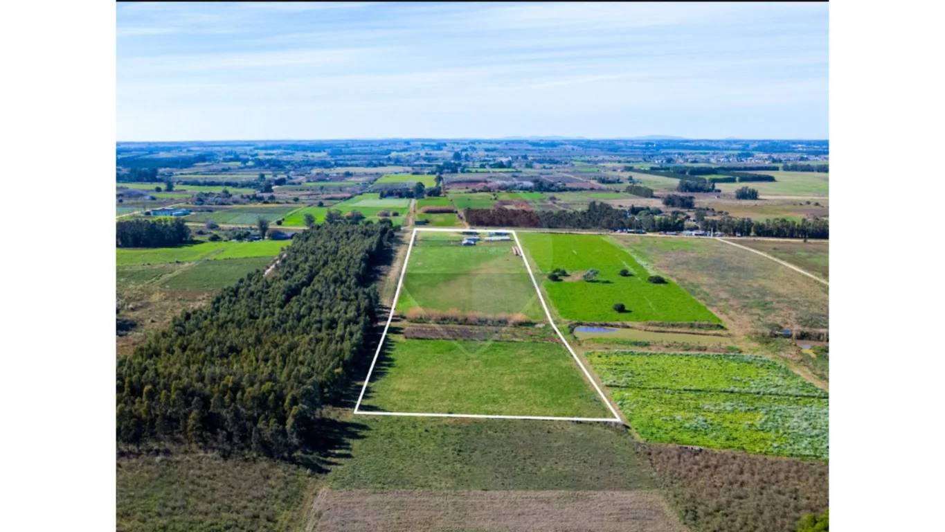 Campo en Totoral del Sauce, propiedad 295121 -Imagen 25