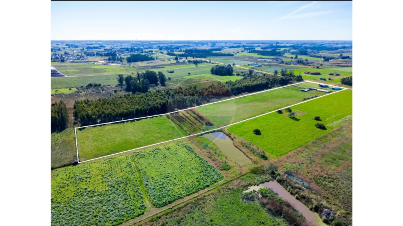 Campo en Totoral del Sauce, propiedad 295121 -Imagen 37