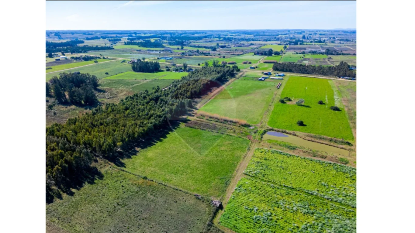 Campo en Totoral del Sauce, propiedad 295121 -Imagen 36
