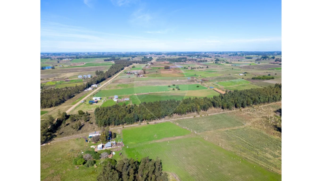 Campo en Totoral del Sauce, propiedad 295121 -Imagen 5