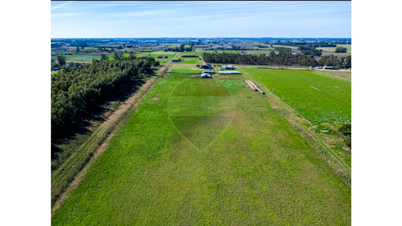Campo en Totoral del Sauce, propiedad 295121 -Imagen 35
