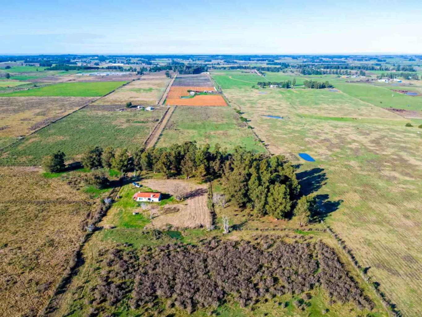 Campo en San Jacinto, propiedad 295645 -Imagen 3