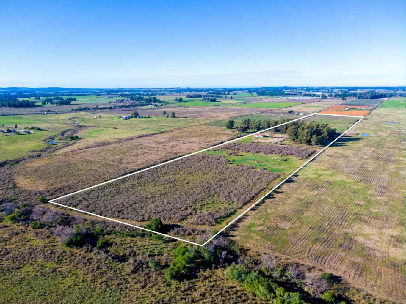 Campo en San Jacinto, propiedad 295645 -Imagen 15