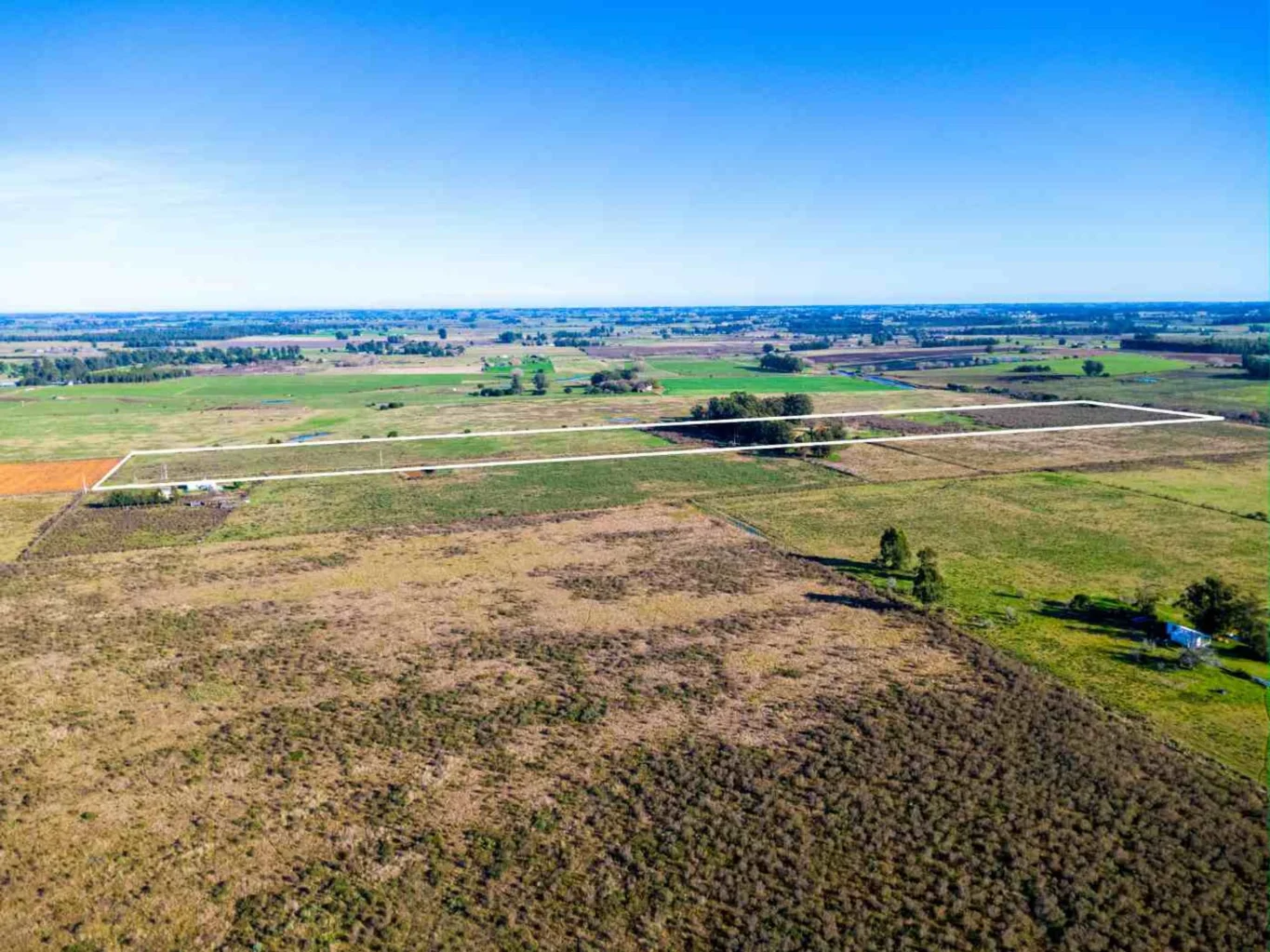 Campo en San Jacinto, propiedad 295645 -Imagen 5
