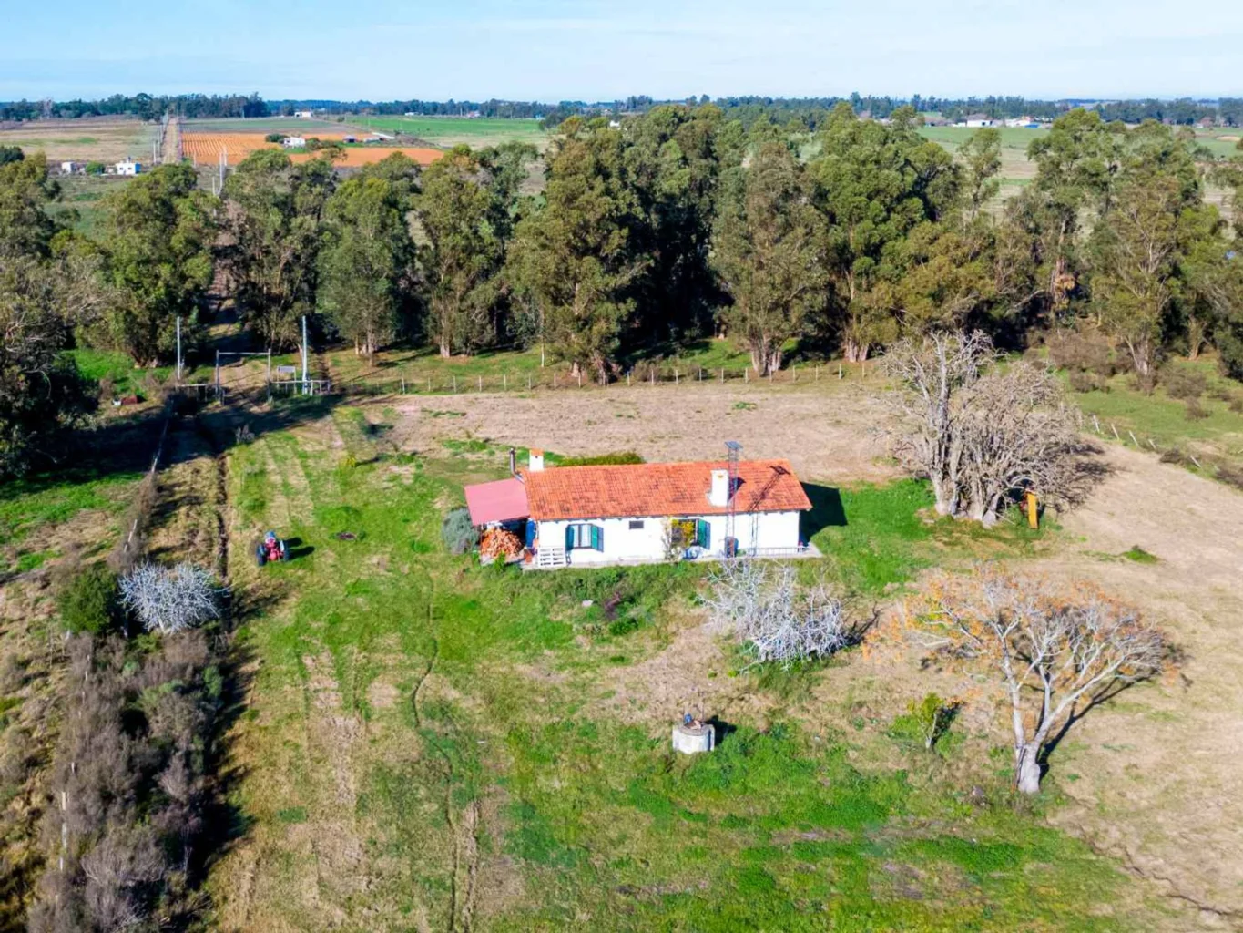 Campo en San Jacinto, propiedad 295645 -Imagen 14
