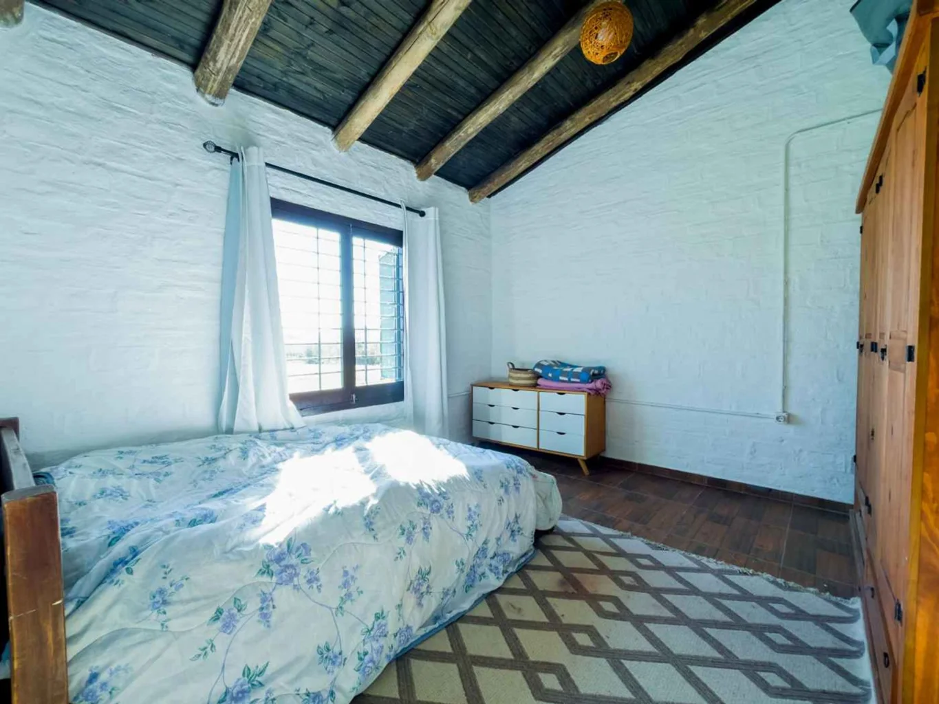 Campo en San Jacinto, propiedad 295645 -Imagen 8